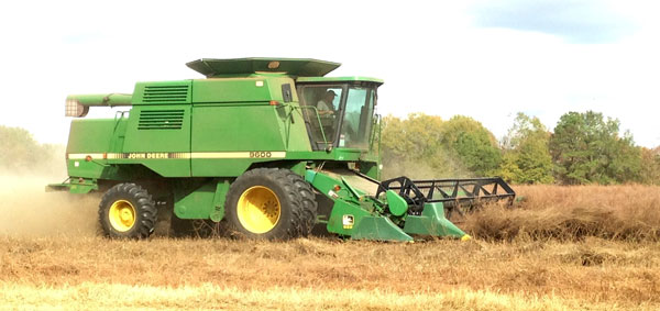 Combine at Langford Farms