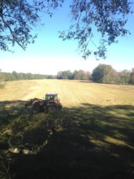 Langfor Farms Hunting