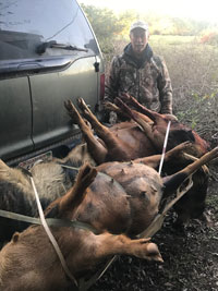 Hog hunt